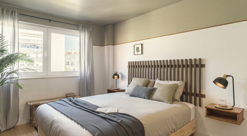 Photo of Moon Orchid