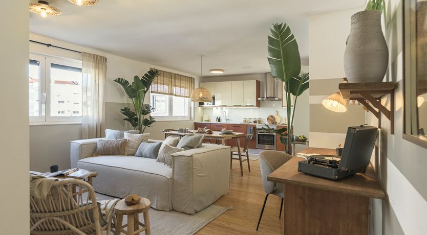 Photo of Moon Orchid