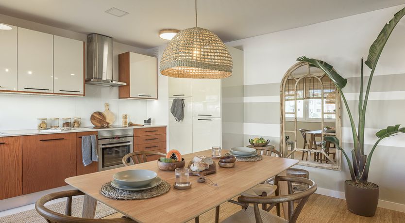 Photo of Moon Orchid