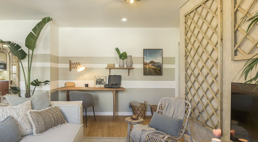 Photo of Moon Orchid