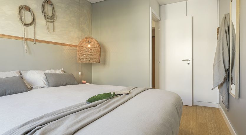 Photo of Moon Orchid