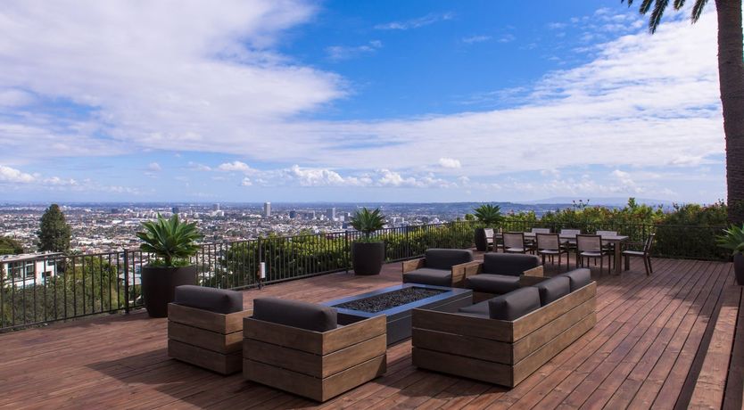 Photo of Fly Famous Mockingbird