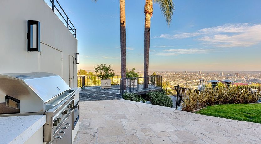 Photo of Fly Famous Mockingbird