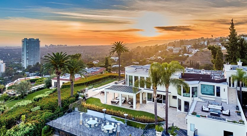 Photo of Fly Famous Mockingbird