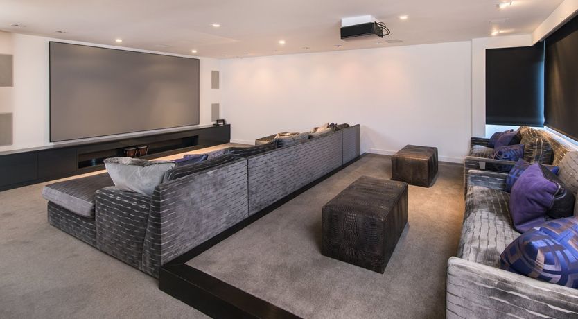 Photo of Fly Famous Mockingbird