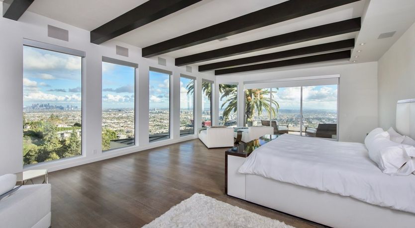 Photo of Fly Famous Mockingbird