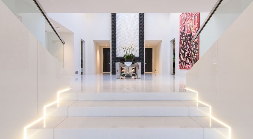 Photo of Fly Famous Mockingbird