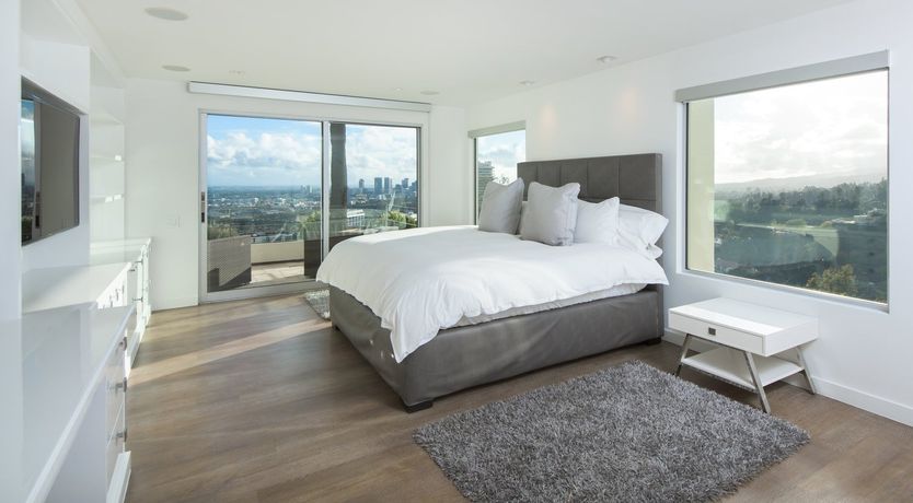 Photo of Fly Famous Mockingbird