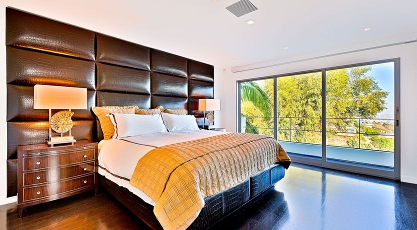 Photo of Fly Famous Mockingbird