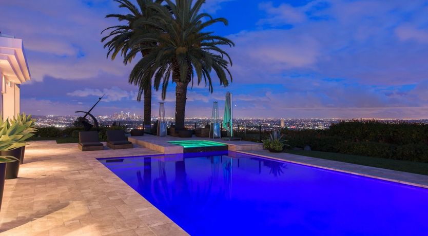 Photo of Fly Famous Mockingbird