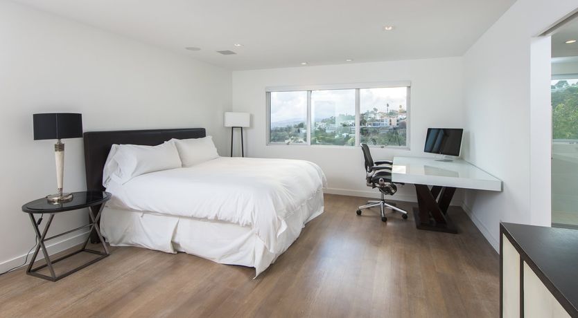 Photo of Fly Famous Mockingbird