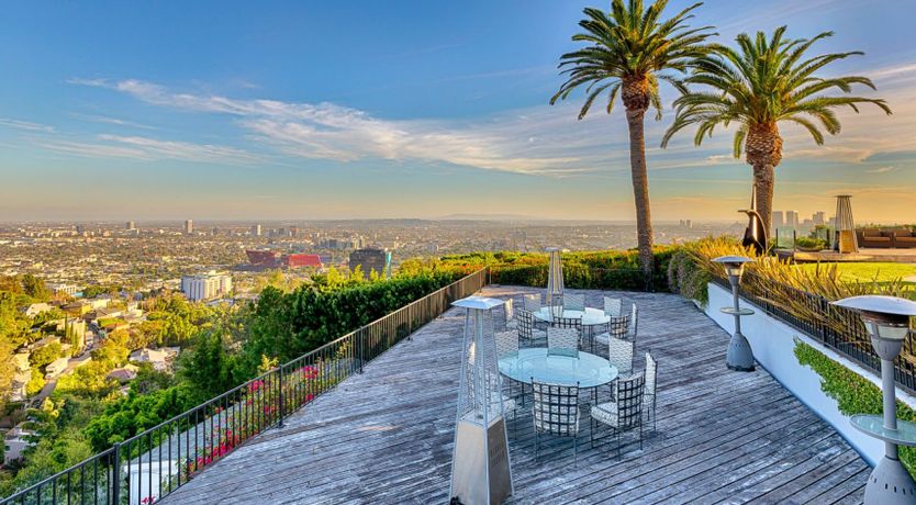 Photo of Fly Famous Mockingbird