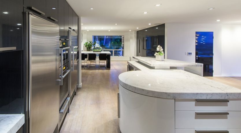 Photo of Fly Famous Mockingbird