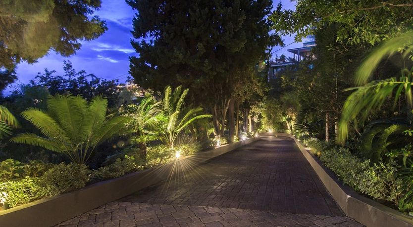 Photo of Fly Famous Mockingbird