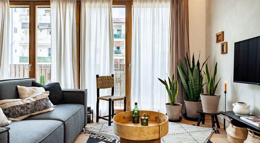 Photo of Sansevieria Leaf