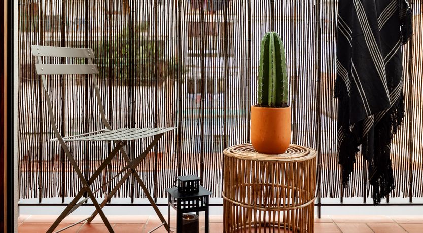 Photo of Sansevieria Leaf