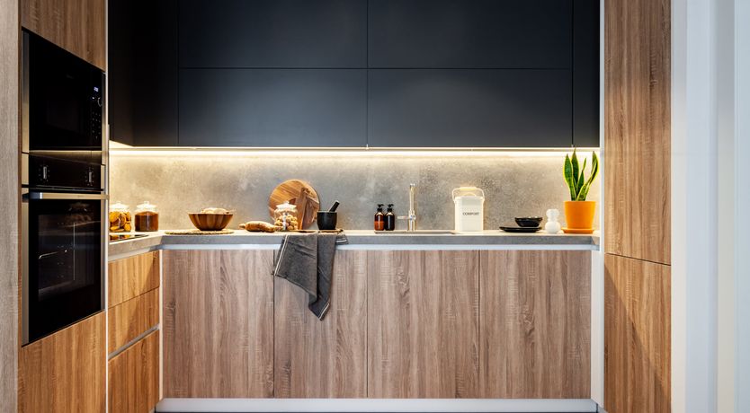 Photo of Sansevieria Leaf