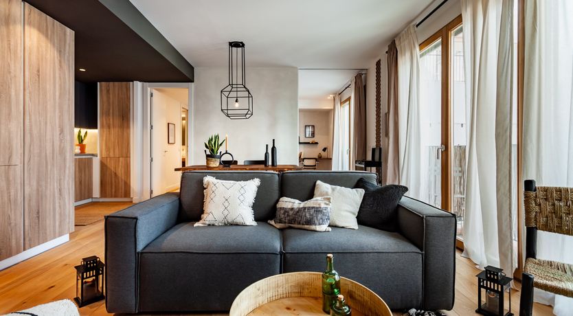 Photo of Sansevieria Leaf