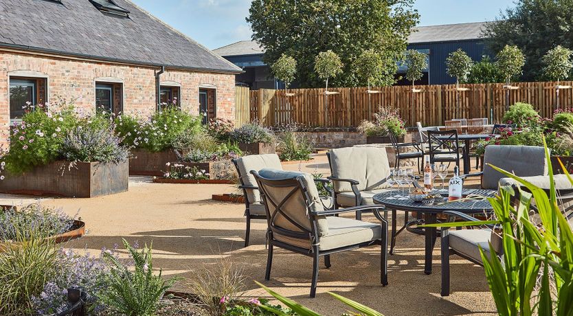 Photo of Little Sedum