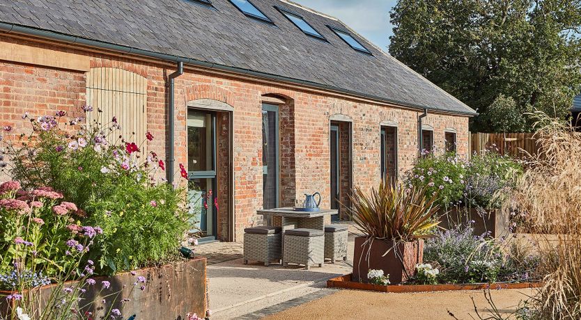 Photo of Little Sedum