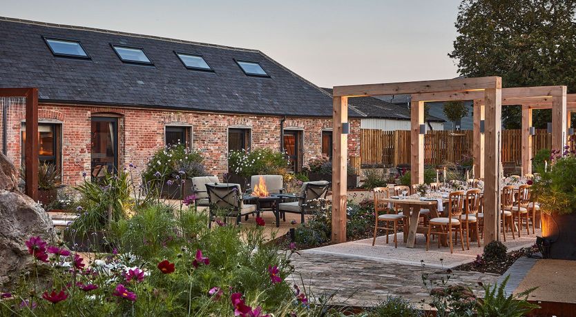 Photo of Little Sedum