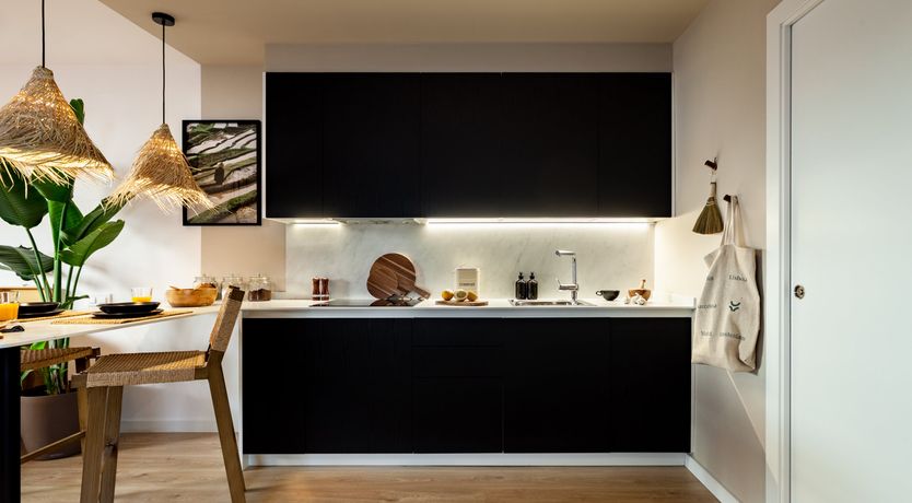 Photo of Rhythm of Light