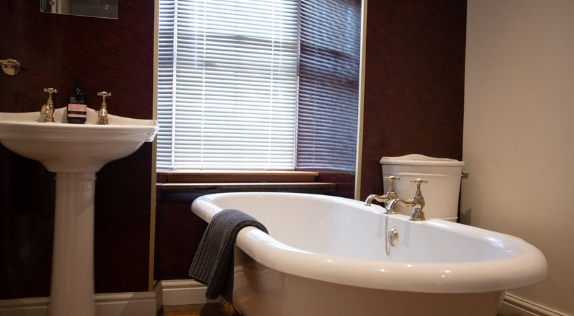 Photo of A River of Light