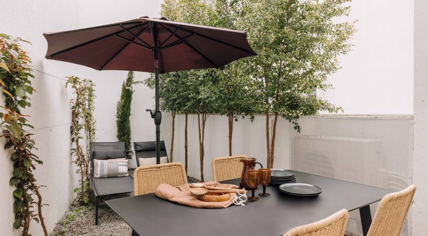 Photo of Agave Dream