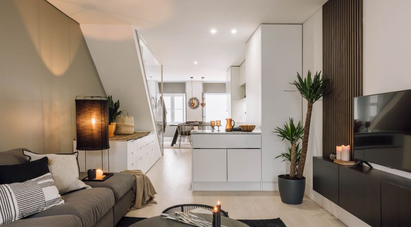 Photo of Agave Dream