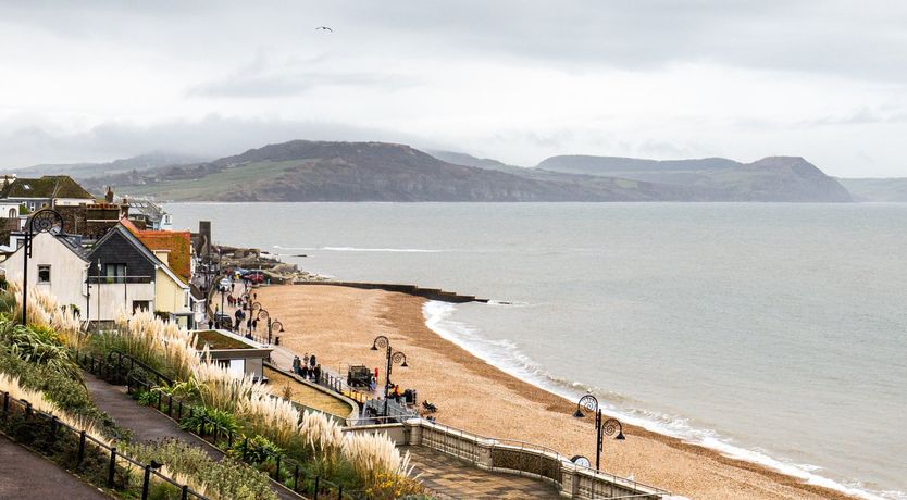 Photo of Spiral Shells