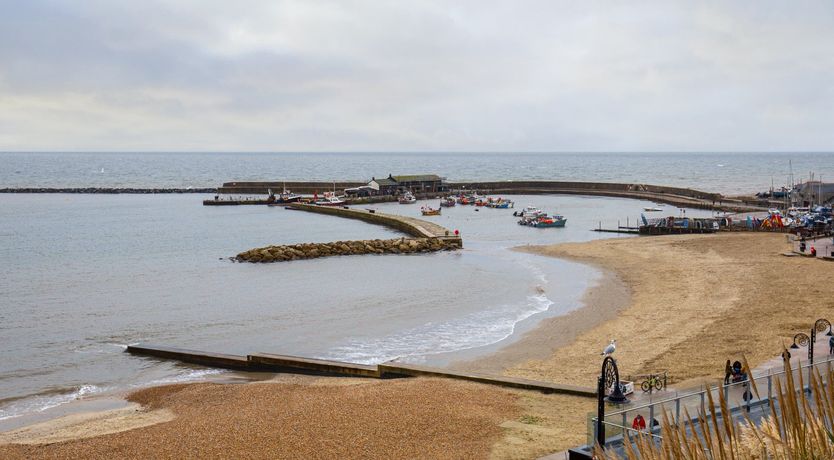 Photo of Spiral Shells