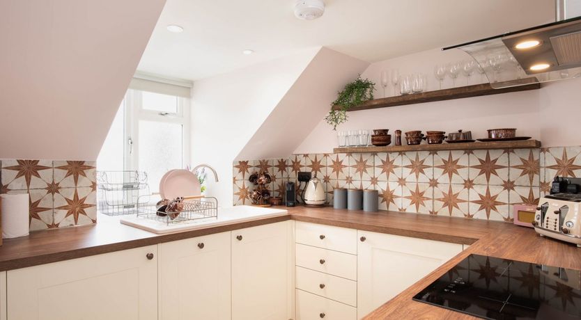 Photo of Spiral Shells