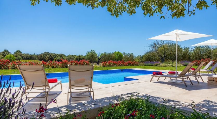 Photo of The Flower Garden