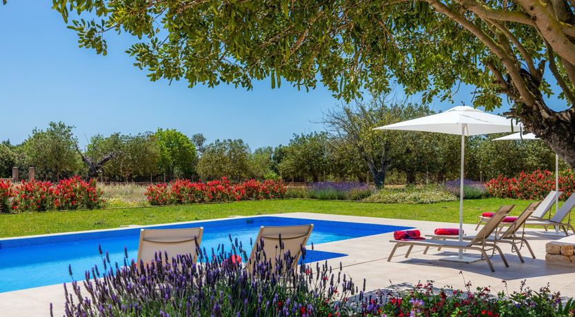 Photo of The Flower Garden