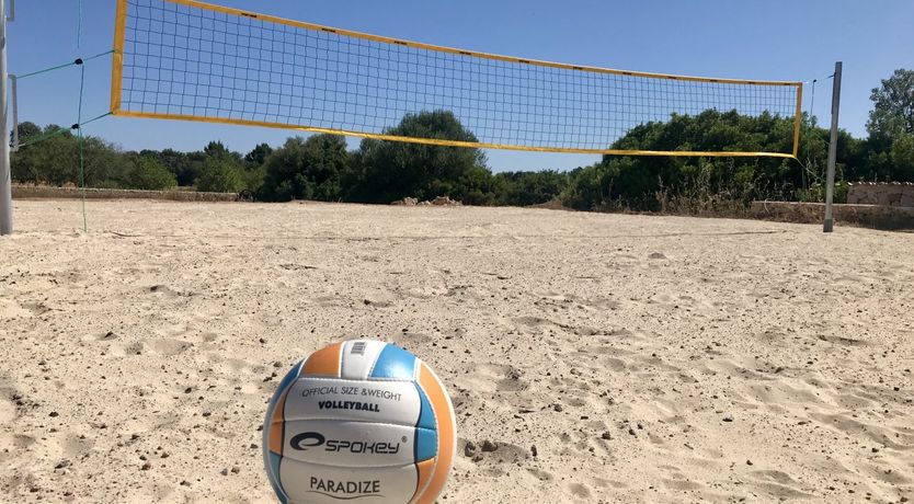 Photo of The Flower Garden