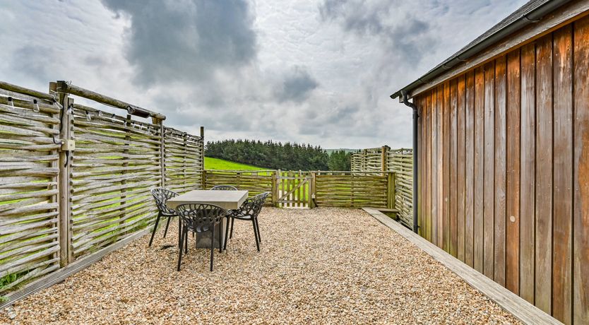 Photo of Swirling Stars