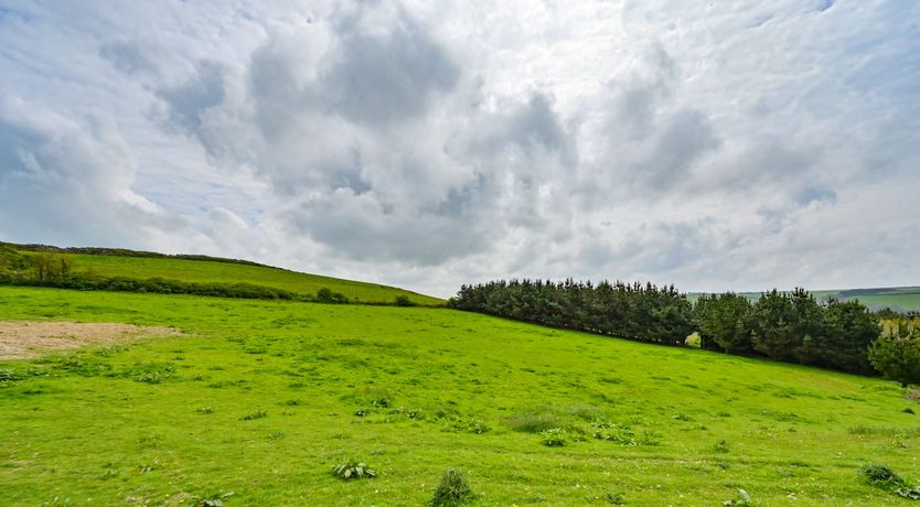 Photo of Swirling Stars