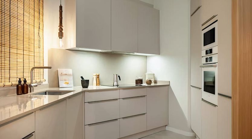 Photo of Monstera Mood