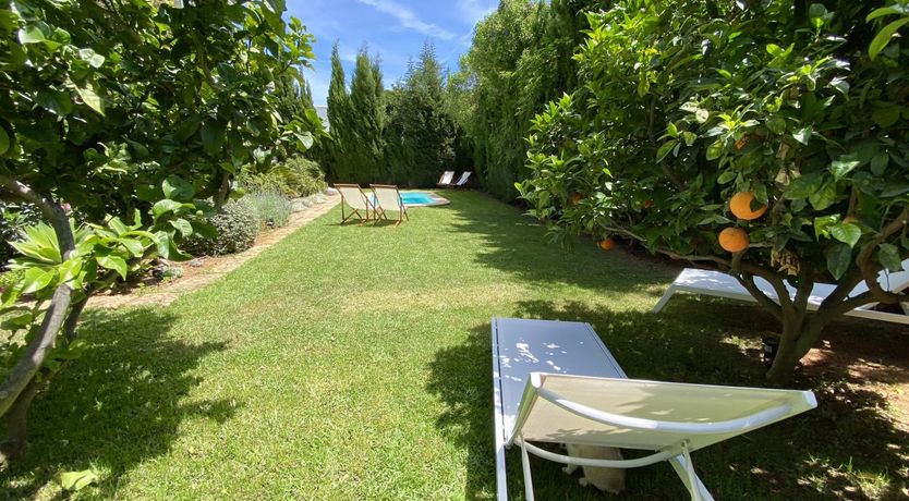 Photo of In the Night Garden