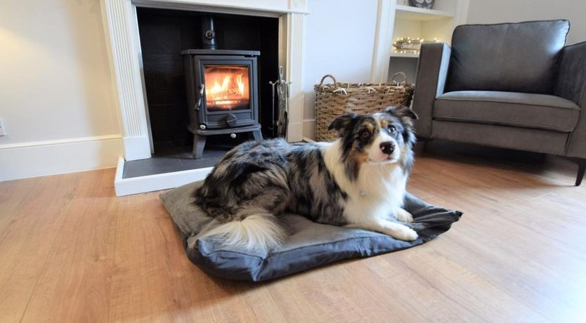 Photo of 3 Bed in Lossiemouth