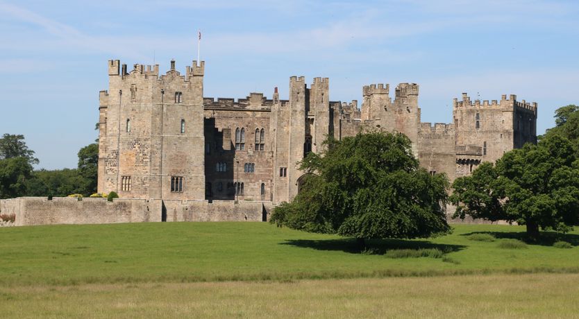 Photo of Ronnie's Roost