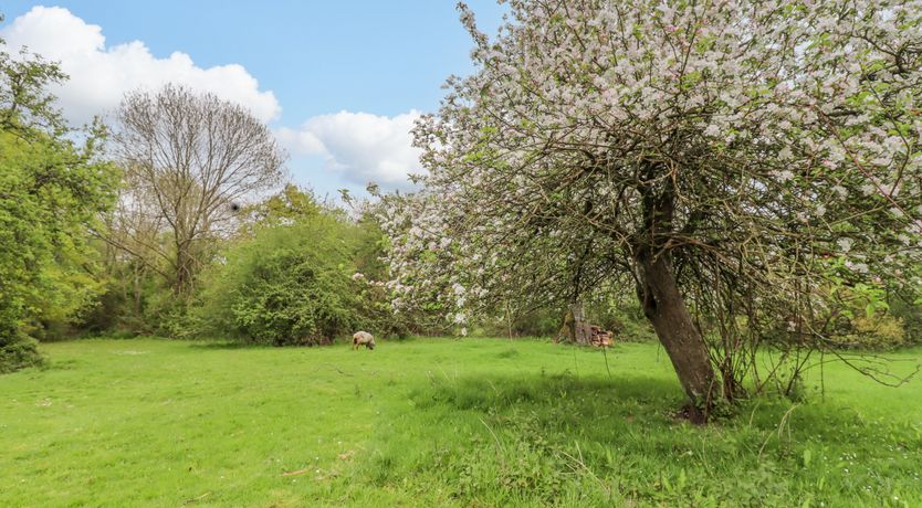 Photo of Meadow Lodge @ Berrys Place Farm