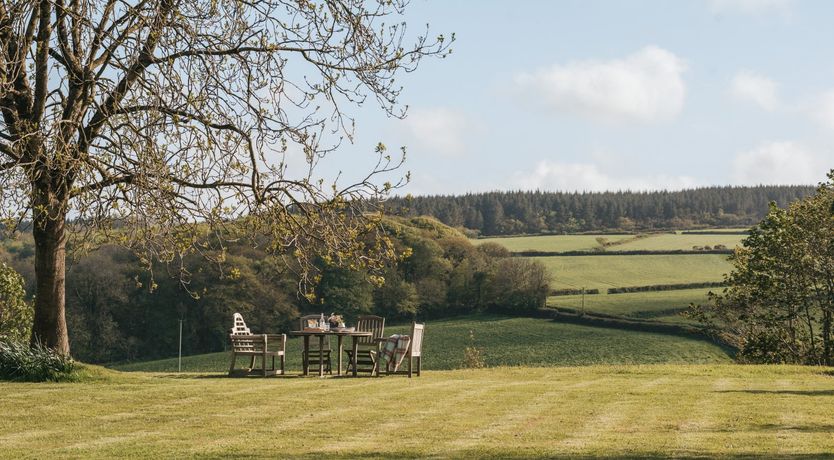 Photo of The Ash Tree