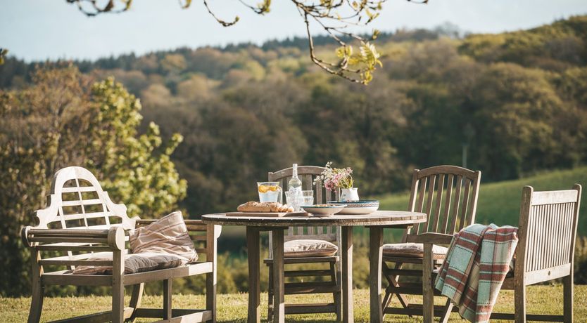 Photo of The Ash Tree