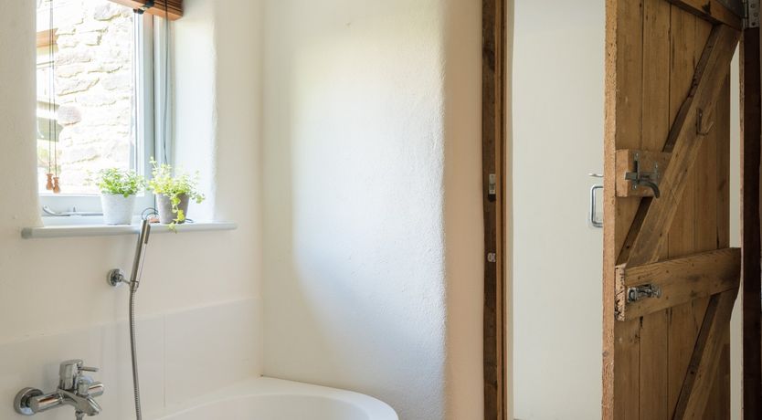 Photo of The Ash Tree