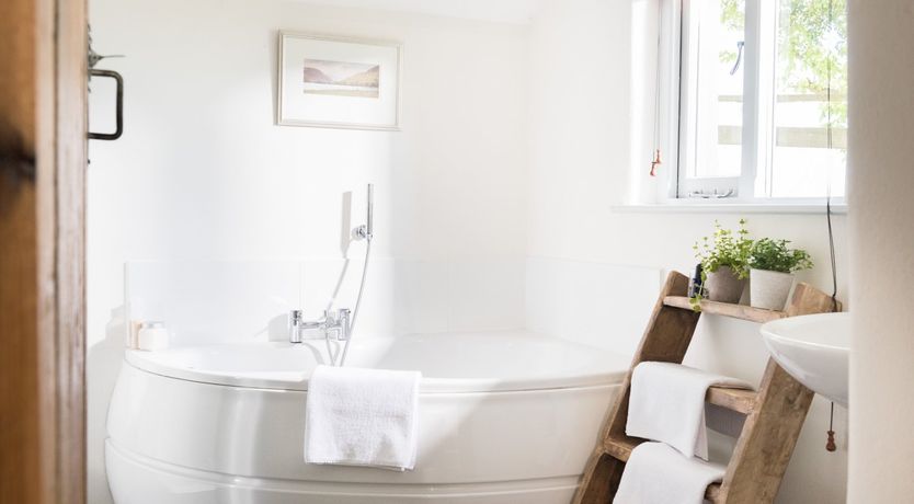 Photo of The Ash Tree