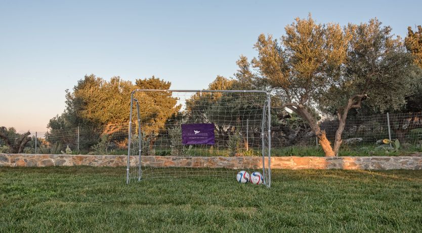 Photo of The Lotus Flower