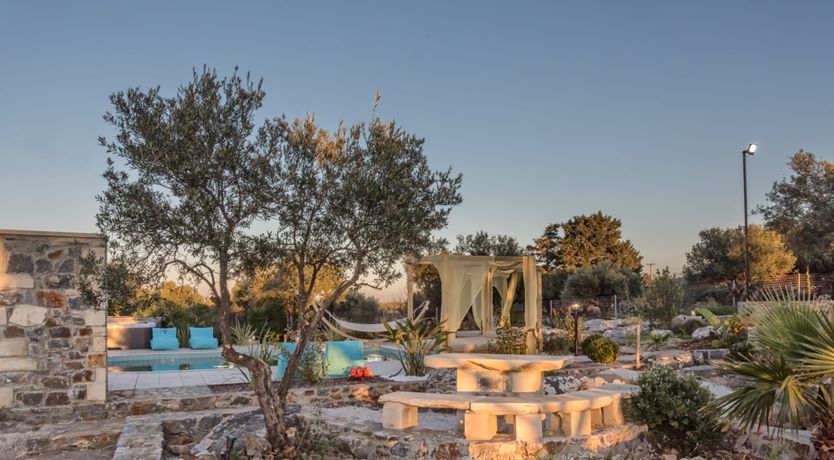 Photo of The Lotus Flower