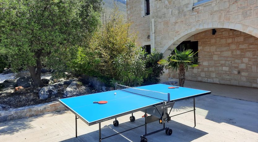 Photo of The Lotus Flower