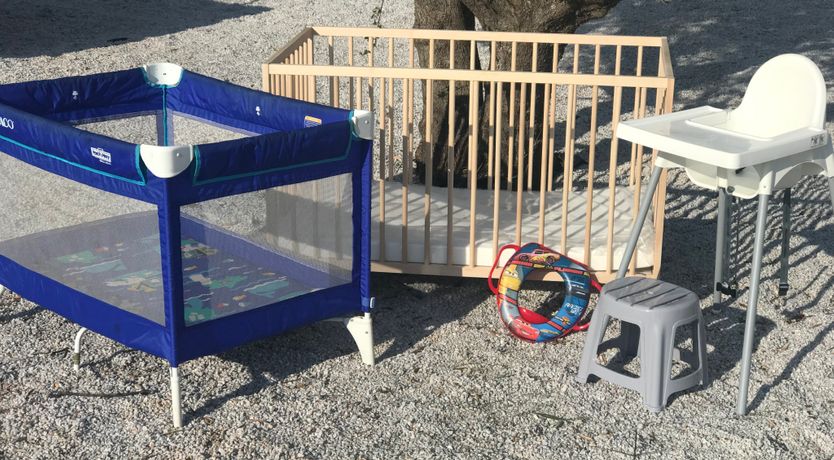 Photo of The Lotus Flower